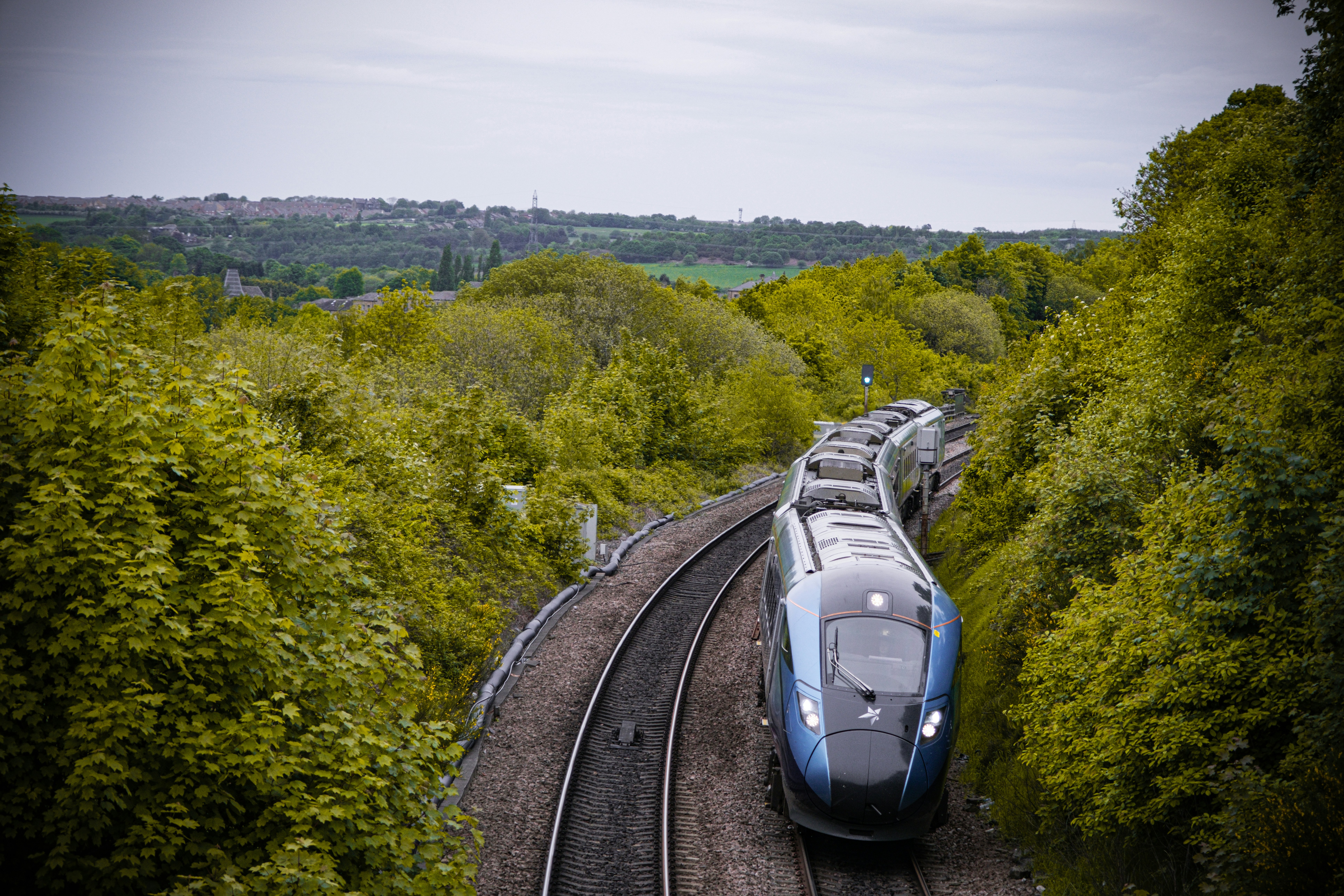 treno nel verde.jpg